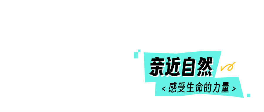 3.jpg 图片
