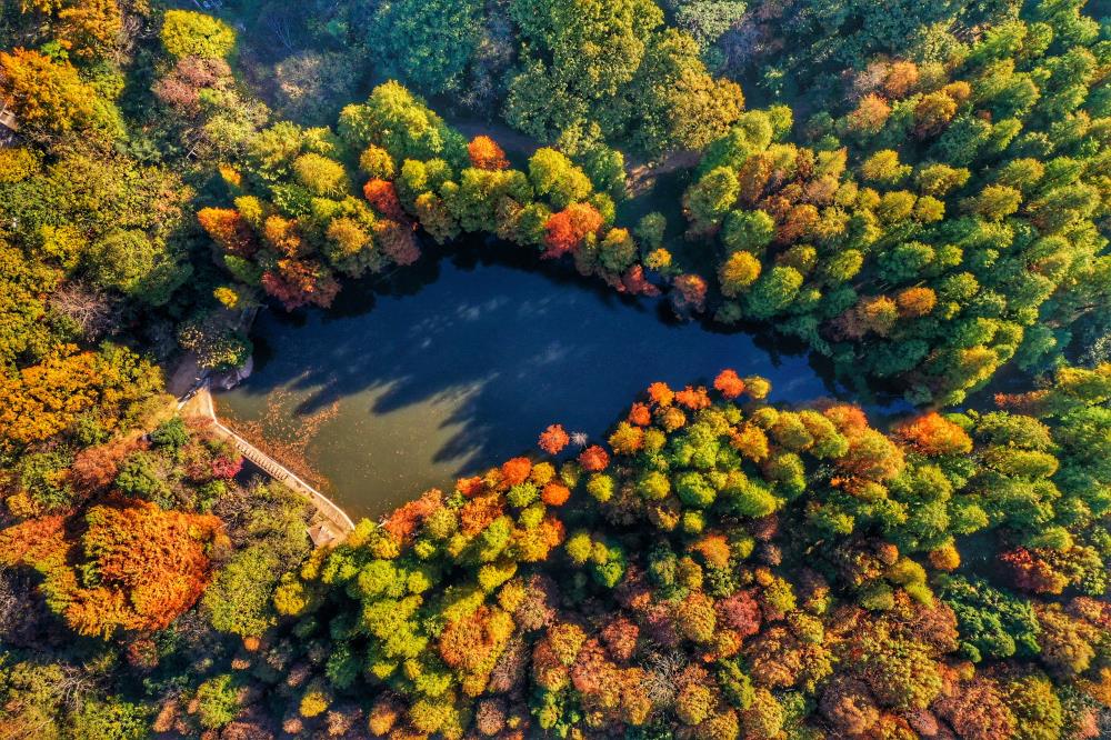 波尔登茗湖航拍（聂品）.jpg